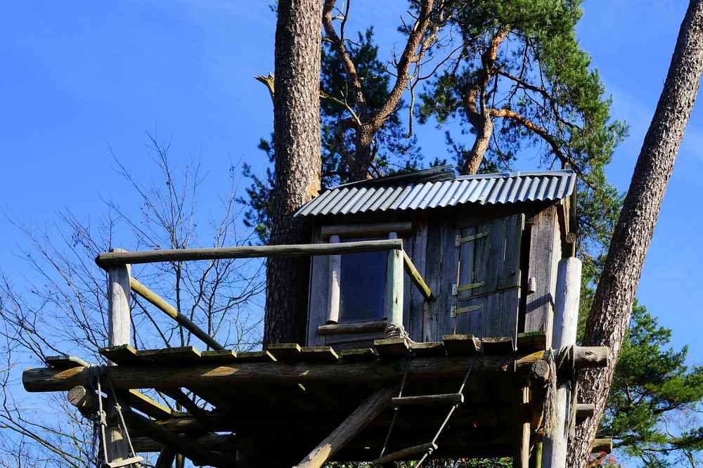 Une cabane en bois sur une plateforme accrochée à un grand arbre Une cabane en bois sur une plateforme accrochée à un grand arbre
